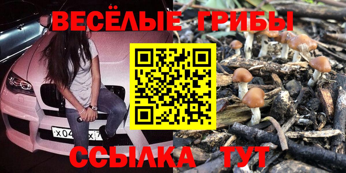 Новочеркасск  Псилоцибиновые грибы ЛСД  Вход с VPN  Галлюциногенные грибы ЛСД 
